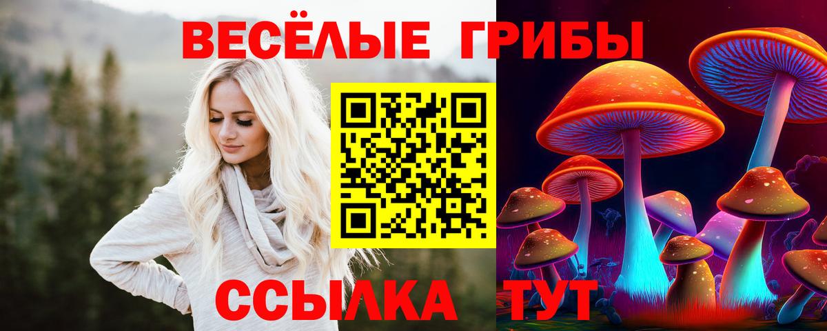 Галлюциногенные грибы GOLDEN TEACHER  Вход с VPN  Ноябрьск 