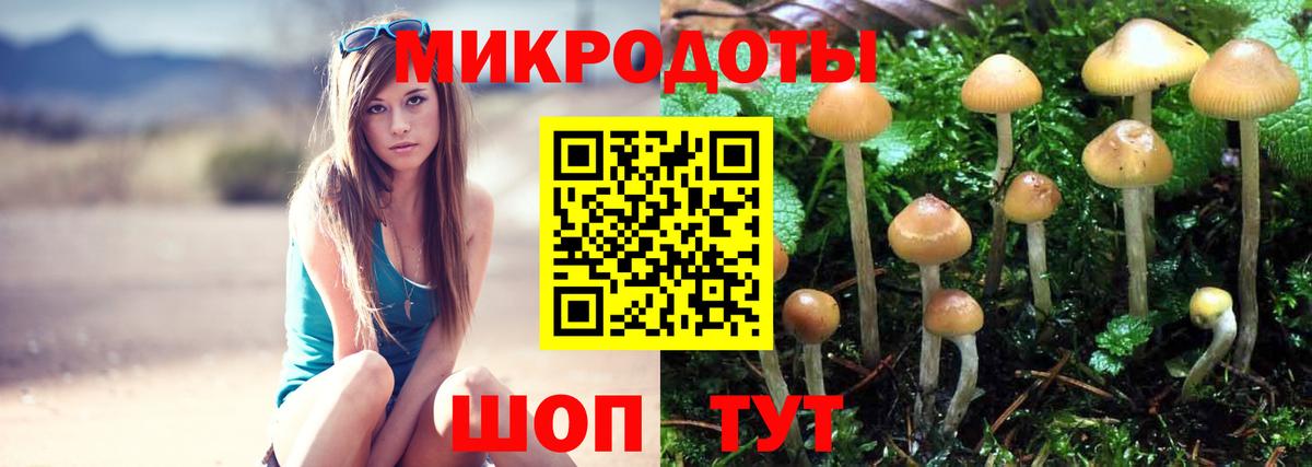 Псилоцибиновые грибы MAGIC MUSHROOMS Ноябрьск